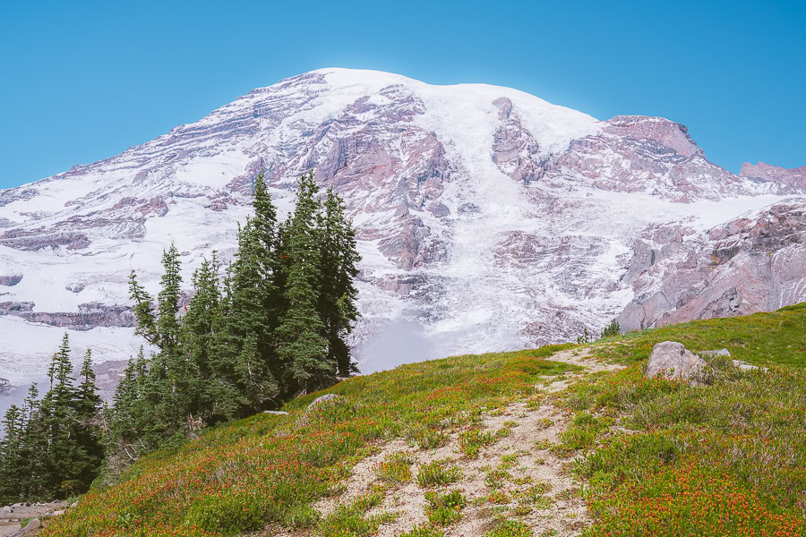 skyline trail loop