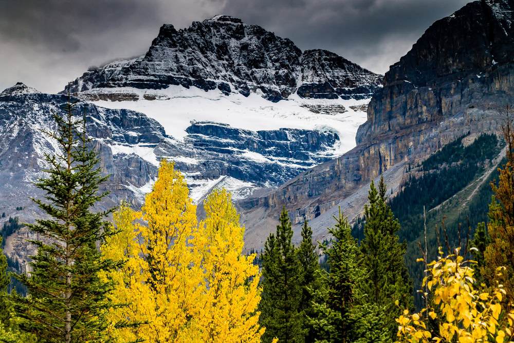 Best Time to Visit Banff National Park