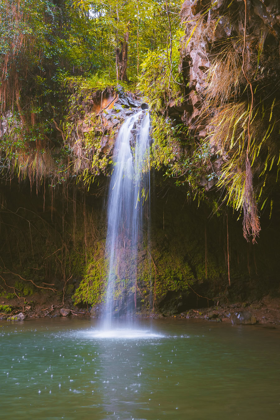 Best Time to Visit Maui